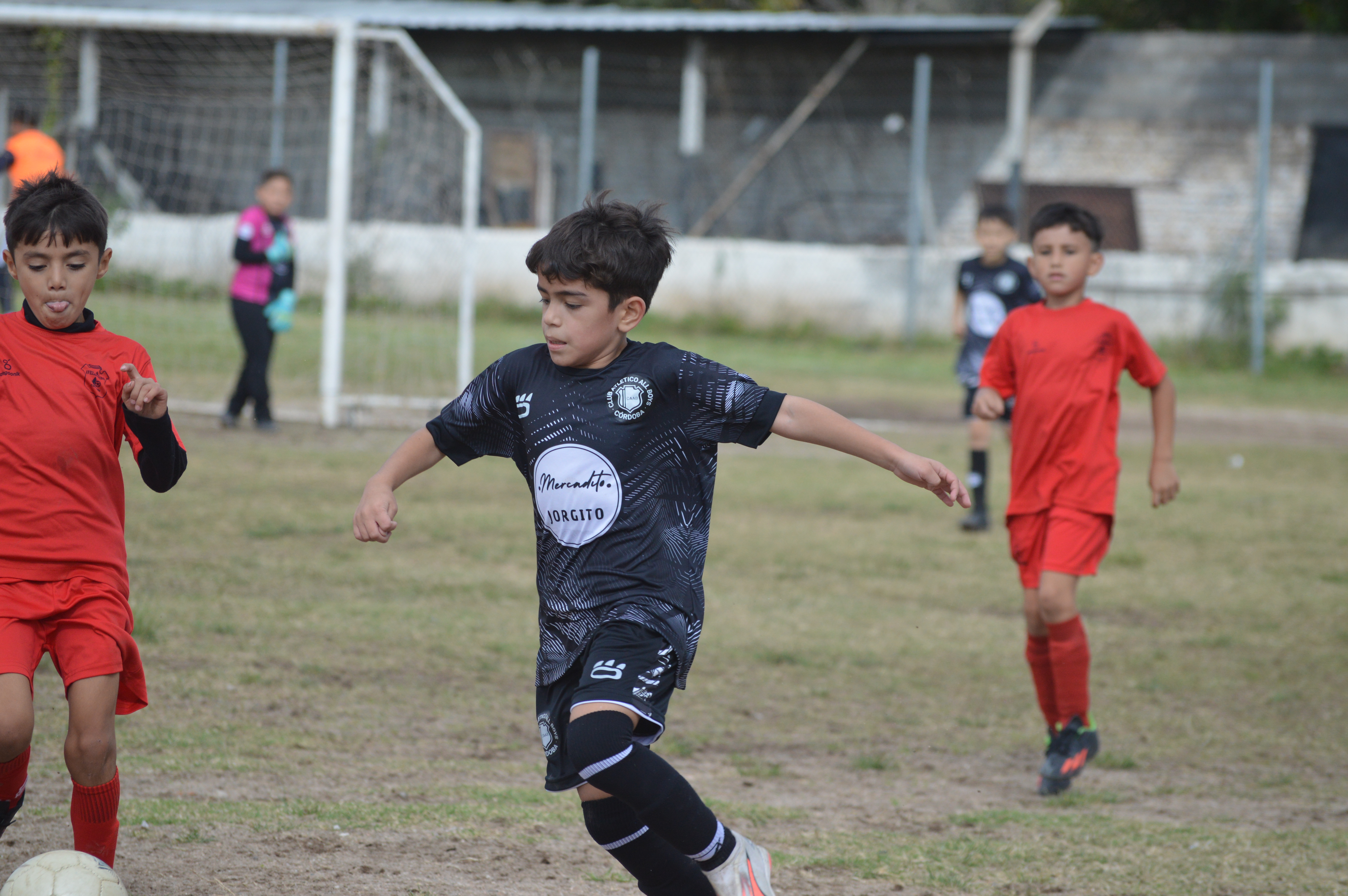 Imagen 3